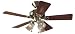 Hunter 20430 Beacon Hill Three-Light 42-Inch Five-Blade Ceiling Fan, Antique Brass with Clear Globes