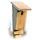 WoodLink Sloped Front Bluebird House 1 3/8 ft x 2 1/4 ft Hole Size