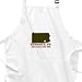 Hershey, PA Chocolate City BBQ Apron