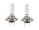 H7 HID Xenon Halogen Bulb 12V 55W Lamp (Silver)