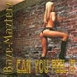 Can You Feel It (Hardtechno / Hardstyle)