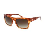 D&g By Dolce & Gabbana 3044 Light Tortoise Frame/Brown Gradient Lens Plastic Sunglasses