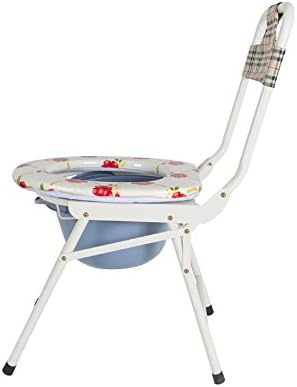 Pregnant women seated chairs high back chairs the elderly folding toilet the toilet chairs