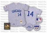 Ernie Banks 1969 Chicago Cubs #14 Authentic Road Throwback Mitchell and Ness MLB Baseball Jersey (Gray)