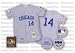 Ernie Banks 1969 Chicago Cubs #14 Authentic Road Throwback Mitchell and Ness MLB Baseball Jersey (Gray)