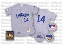 Ernie Banks 1969 Chicago Cubs #14 Authentic Road Throwback Mitchell and Ness MLB Baseball Jersey (Gray)