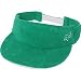 Fox Racing Terry Pro Bill Visor