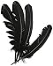 Turkey Quills - 4PK/Black