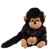 Porter the Black Monkey