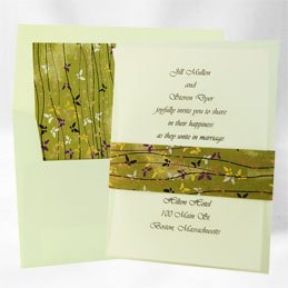 External hard drive:Layered Wedding Invitation Papillons Vert (10 Pack)