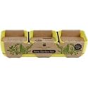 Simple Garden Junior SGJR-3PC-MUST Oregano, Basil and Cilantro Herb Garden Kit, Mustard