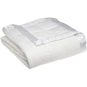 Pike Street Down Blanket