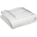 Pike Street Twin Down Blanket, White