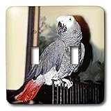 Birds - African Grey Parrot - Light Switch Covers - double toggle switch