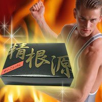 精力系サプリメント 精根源