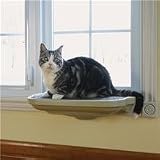Deluxe Window Seat
