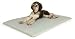 K&H Manufacturing Cool Bed Iii Medium 22 Inch X 32 Inch New Indoor & Outdoor