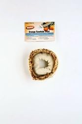 Healthy Real Orange Fruit 3.5" Rawhide Donut 1pk.