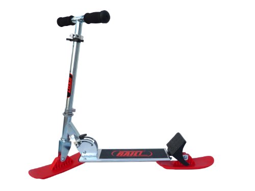 Railz Snow Scooter