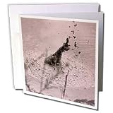 Albom Design Close Up - Exploding Bubbling Mud Rotorua New Zealand - Greeting Cards-12 Greeting Cards with envelopes