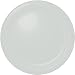 Dinner Size Paper Plates - White (24 Count)
