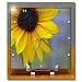 A Bright Yellow Sun Flower up Close With Lots of Texture in the Center and Blues in the Background - 6x6 Desk Clock