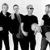 Image of Oysterband
