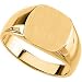 Jewelry : 14K White Gold Men's Signet Ring With Brush Finished Top