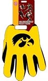 Iowa Hawkeyes Two Tone Gloves