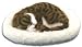Pet Nap Realistic Breathing Sleeping Cat with Fleece Bed