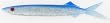 Chewy Hoo 10 1/2" Silver Glitter /Blue Back 12per pk - Fishing - Lures & Lure Kits