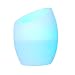 Ultrasonic Oval Mist Decorative Humidifier LED Multi-color Lamp