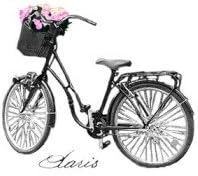 Dish Towel with a Parisian Bicycle Design