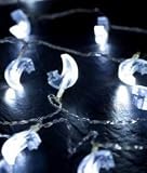 Fairy light Moons LED290, length: 5m, 20 LEDs