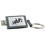 Centon DataStick Keychain MLB Chicago White Sox Edition - USB flash drive - 2 GB - Hi-Speed USB - silver