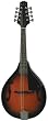 Savannah A-Model Mandolin in Sunburst