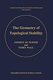 The geometry of topological stability