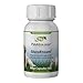 GlucoEnsure for Pet Insulin Levels
