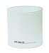 Primus Jr. Tor Lantern Glass Replacement