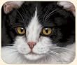AH Black & White Cat Mouse Pad Fiddlers Elbow