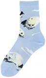 Baby Seals Socks