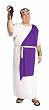 Adult Plus Size Julius Caesar Costume - Mens XL