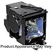 Projector Lamp ET-LAC75 for PANASONIC PT-LC55U, PT-LC75E, PT-LC75U, PT-U1S65, PT-U1X65, TH-LC75