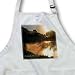 Golden Morning, Grattis p? f?delsedagen, Happy Birthday in Swedish - Waist Apron With Pockets