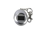 Electronics : LTECHi 1.1" Digital Photo Frame Keyring - Silver