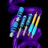Bilstein (F4-GM5-8877-H0 911) PSS9 Coilovers - GT2
