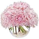 Flowers - Precious Peonies