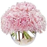Flowers - Precious Peonies