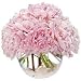 Flowers - Precious Peonies