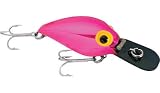 Fishing: B.S. Fish Tales Brad's EChip Wiggler